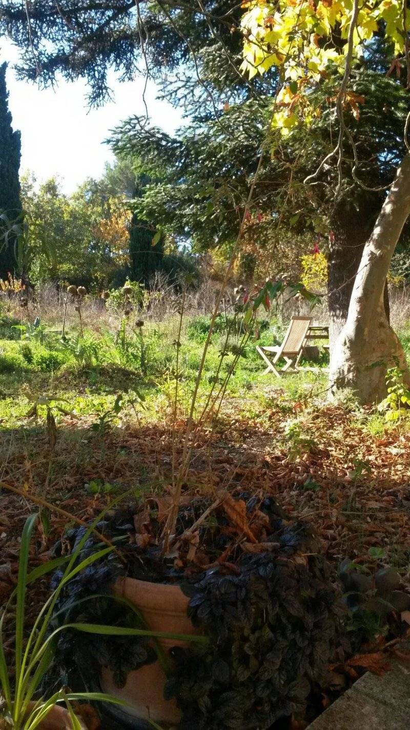 Villa Rose en Provence
