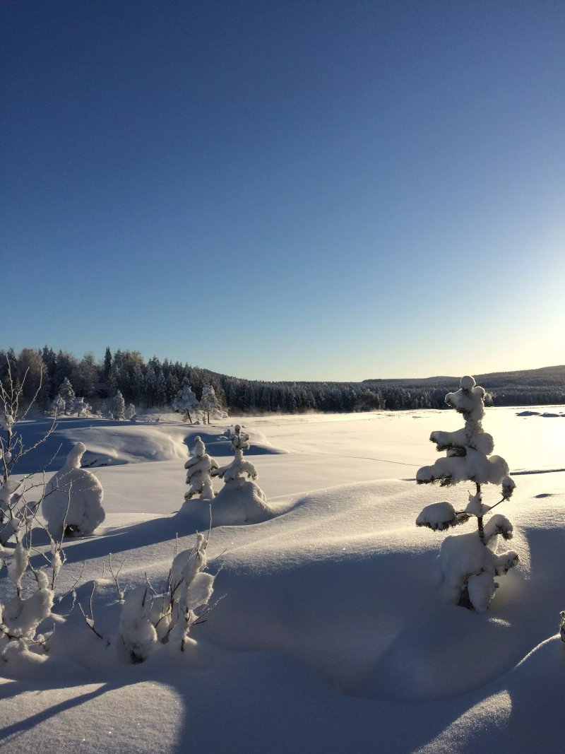 Norrsken Lodge