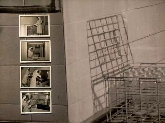 Flashback Habitat, Ecosistema per le Culture Contemporanee
