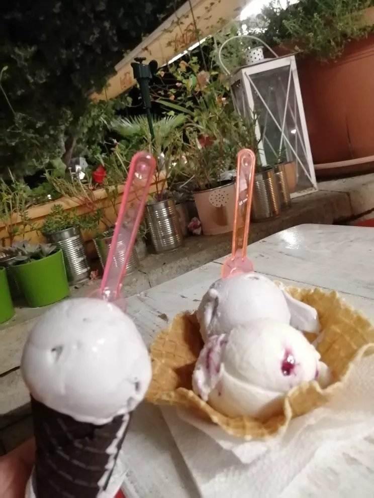 Ice Cream Saloon Clio