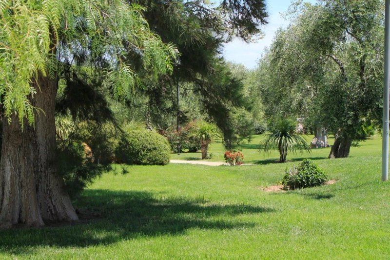 Villa Ciccorosella