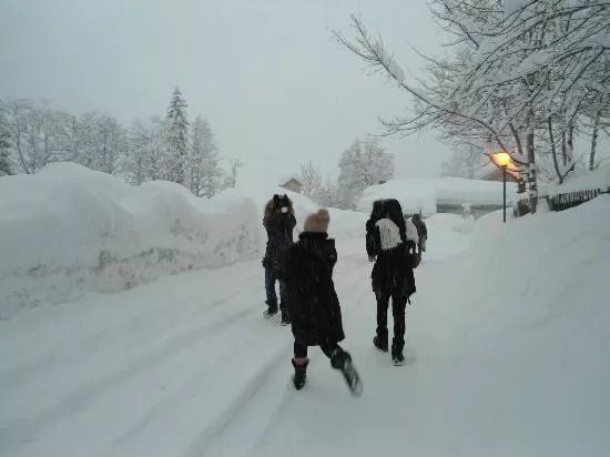 Chalet Panorama