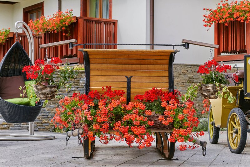 Hotel & SPA Czarny Gron