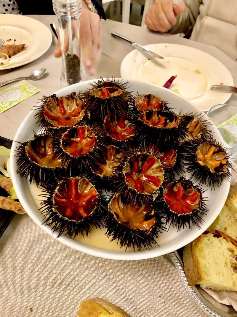 Tarantini al cancello rotto