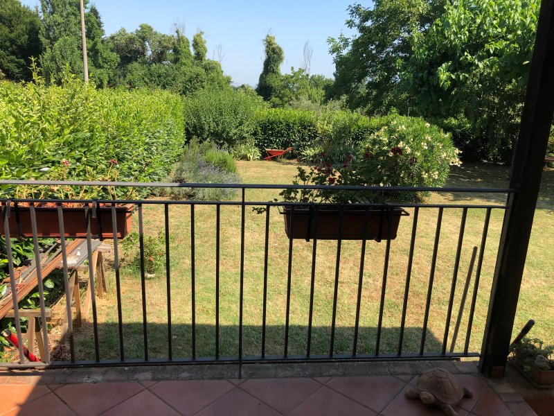 Olive Tree Hill B&B