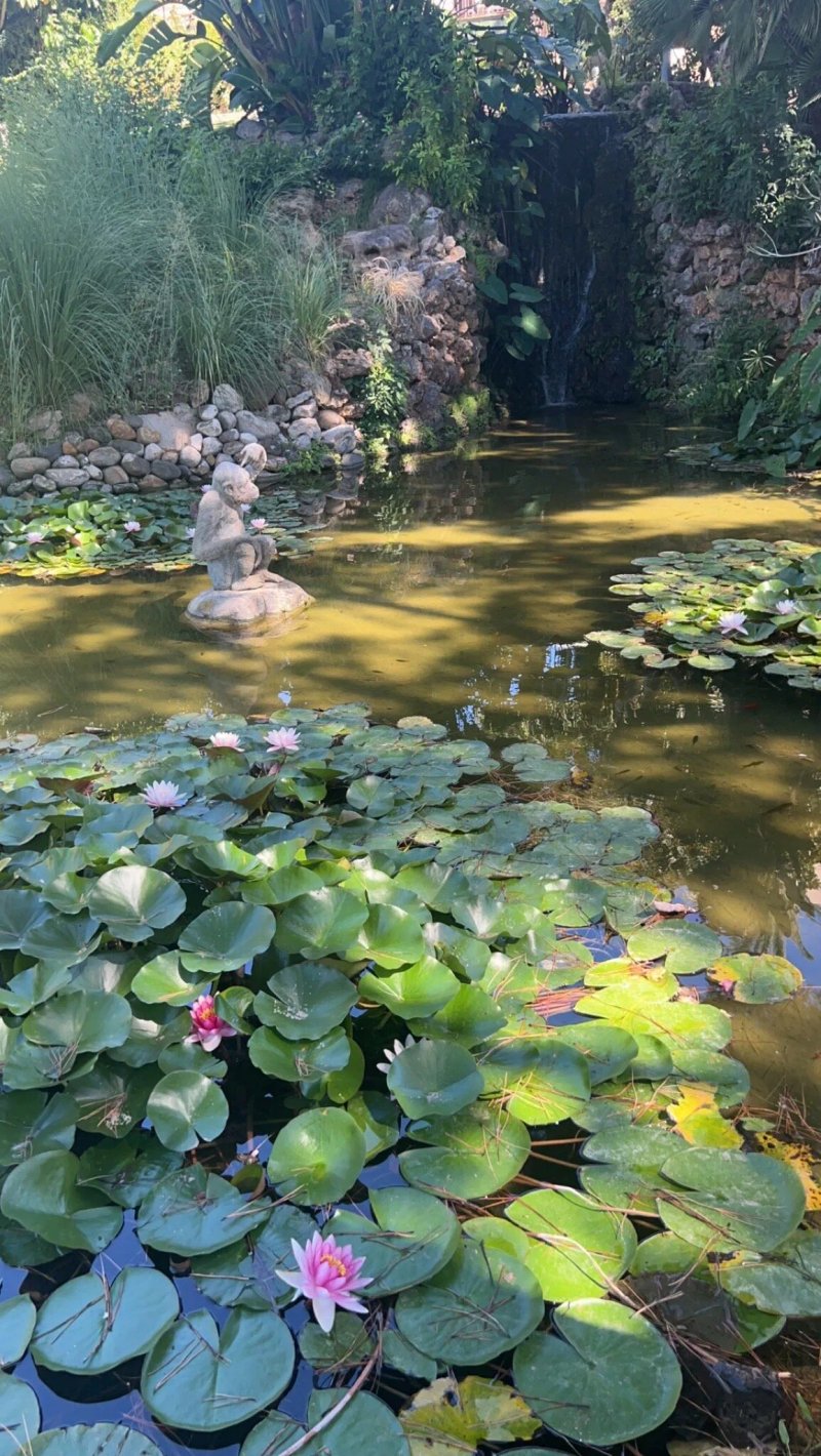The Oasis by Don Carlos Resort