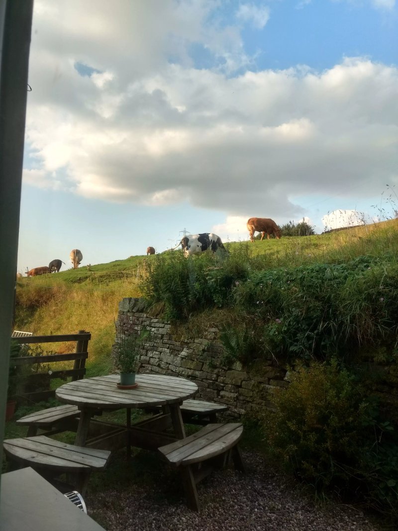 Far Wicken Hall Farm