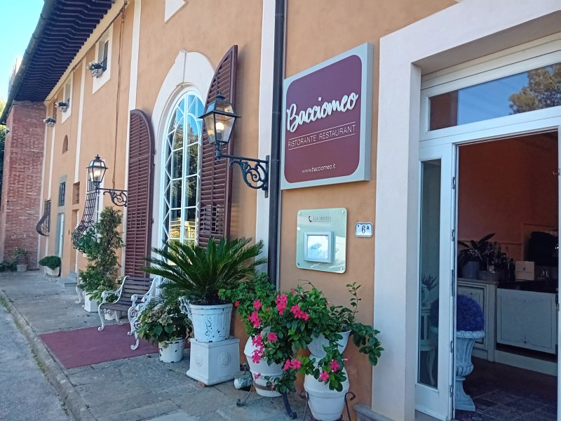 Bacciomeo