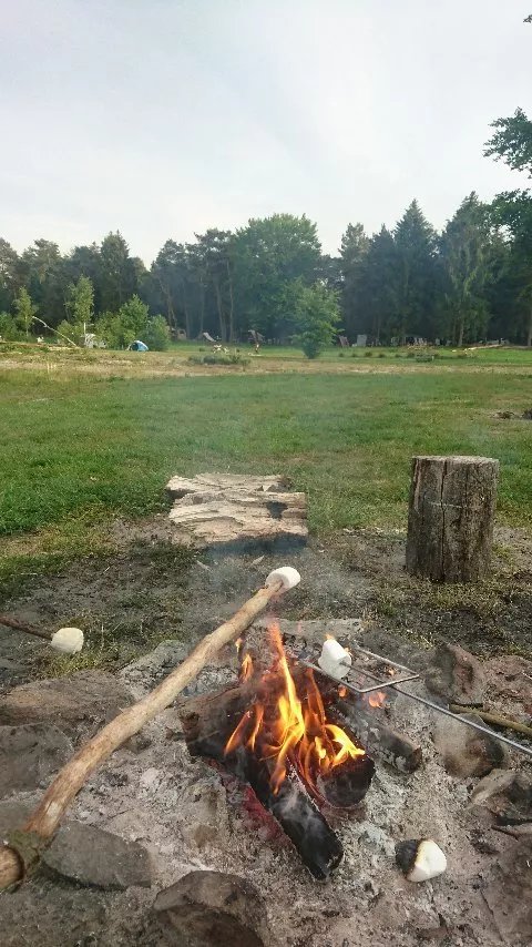Borker Heide Landgoed