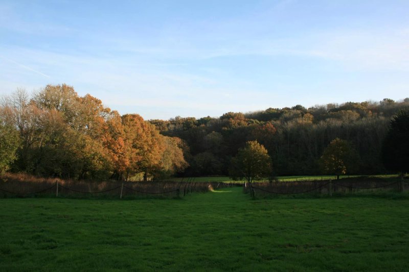 Lower Crabb Country House B&B