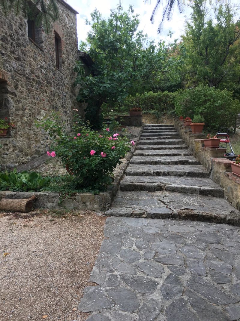 Il Paggino