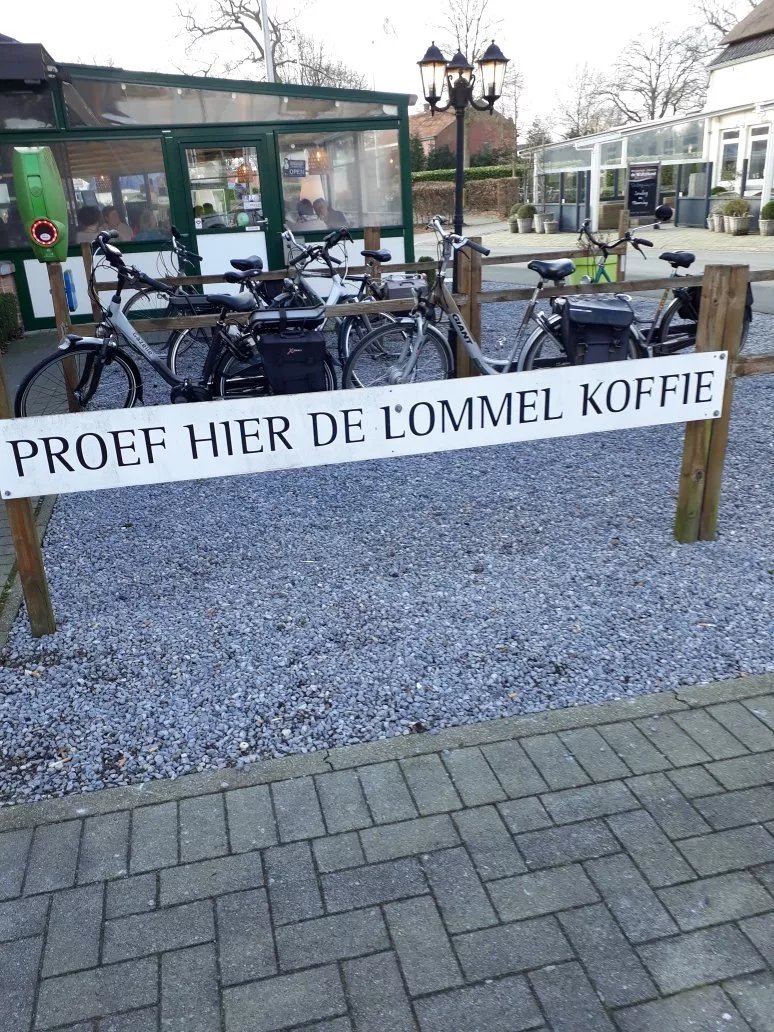 Lommel Broek