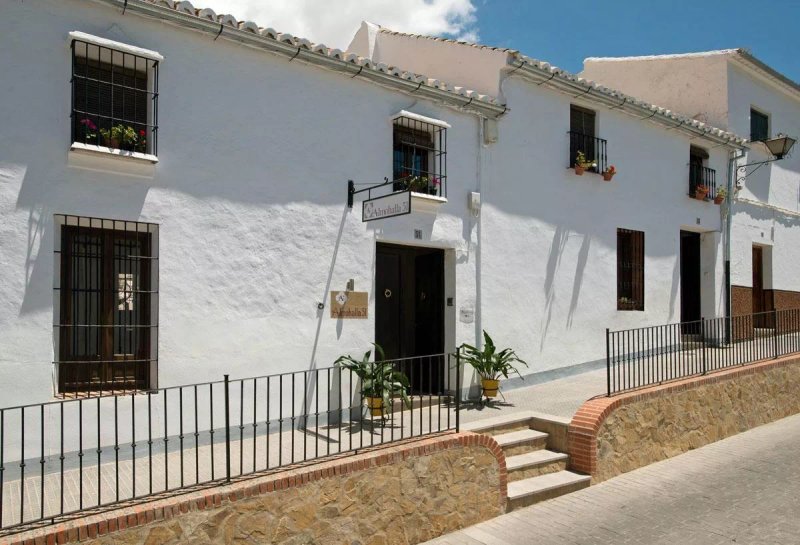 Almohalla 51