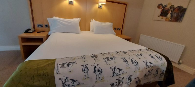 Hotel Minella