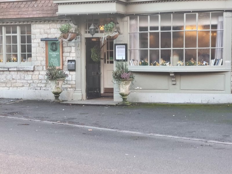 The Black Lion