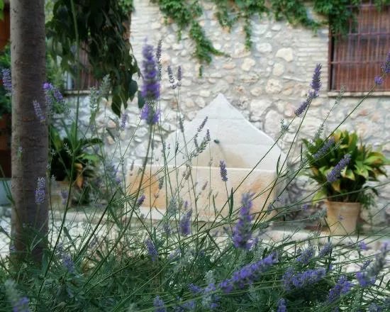 Hacienda Minerva