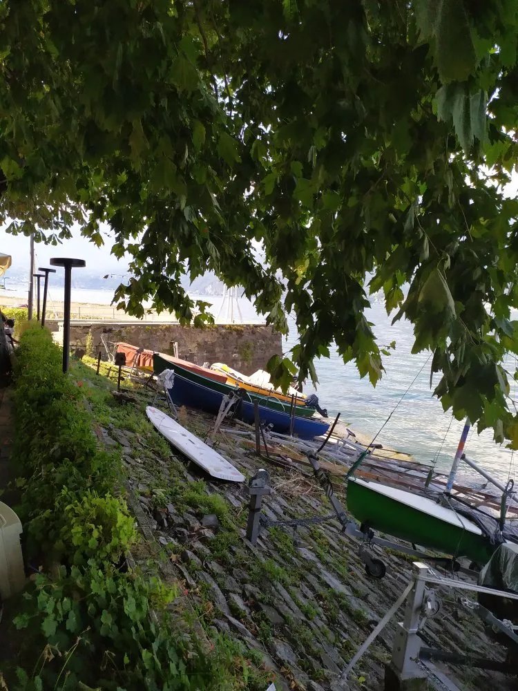 Ristorante Pizzeria Cavallo Bianco
