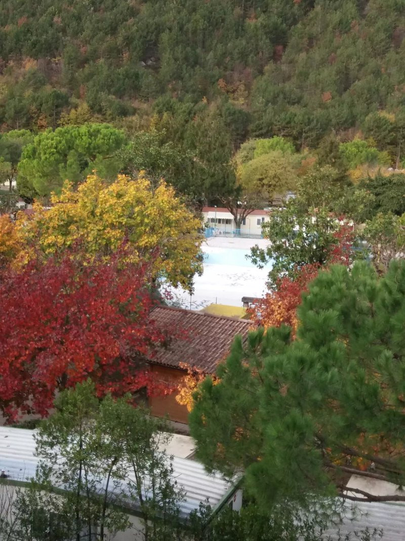 Hotel Daino