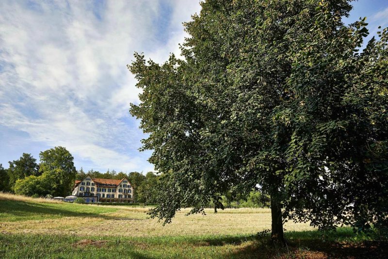 Sorell Hotel Zürichberg