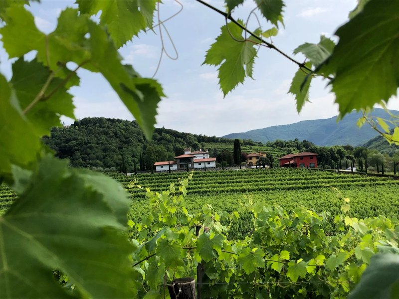 Il Roncal Wine Resort