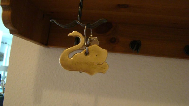 Mein lieber Schwan