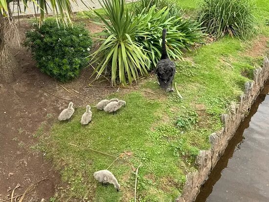 Dawlish Lawn and Dawlish Water