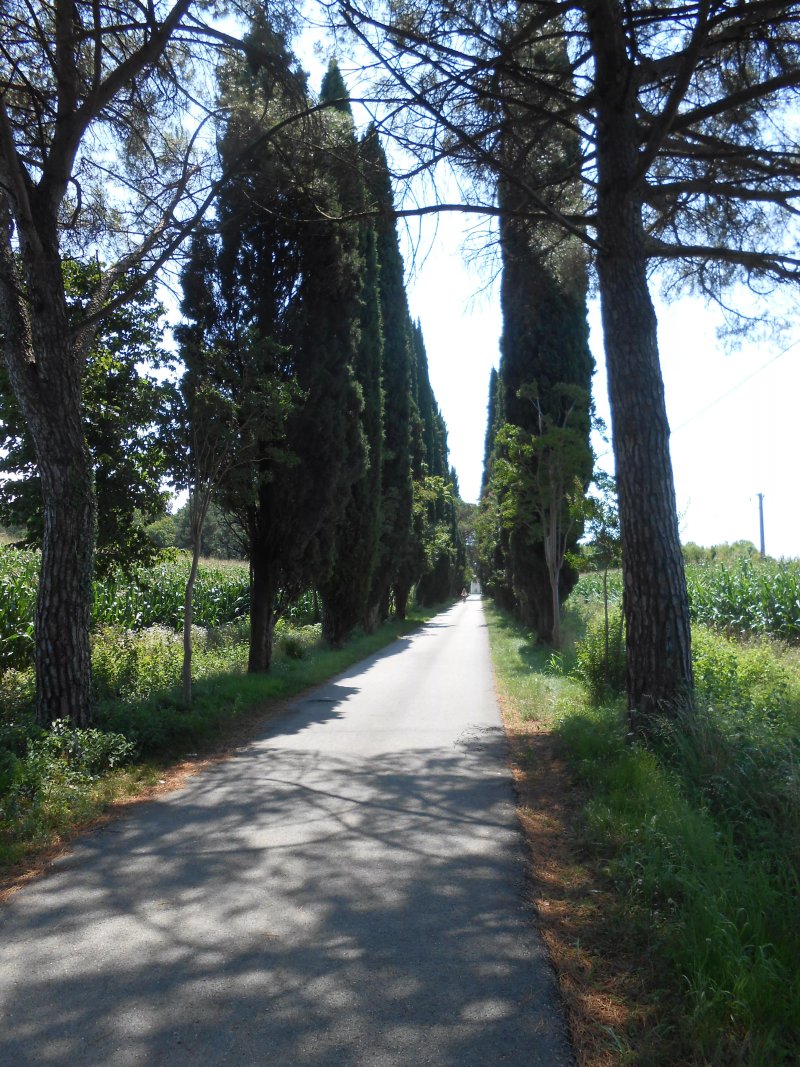Agriturismo Borg da Ocjs di Fattoria ZOFF