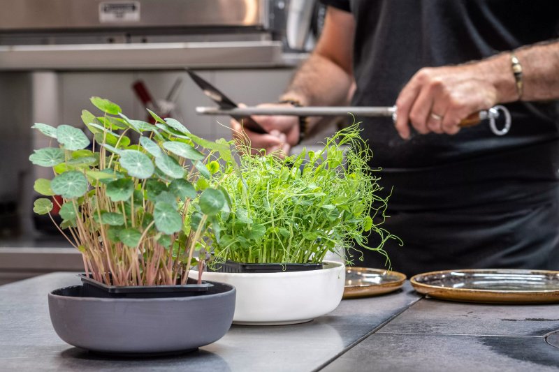 Auberge de la Marine - Bistrot Gastronomique