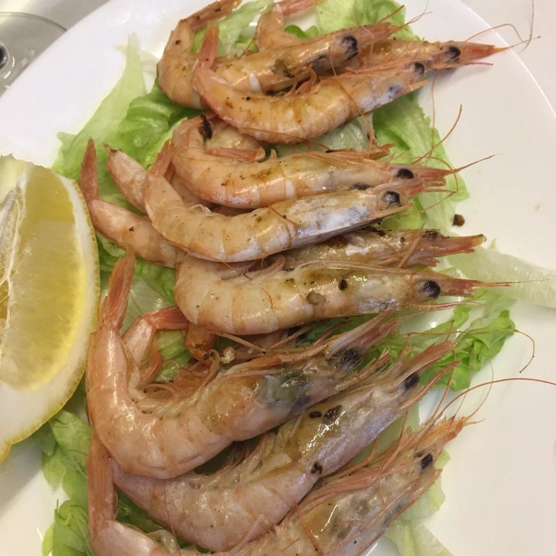 Sociedad De Pesca Deportiva Marbella