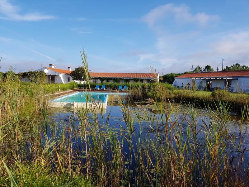 Casa Vicentina