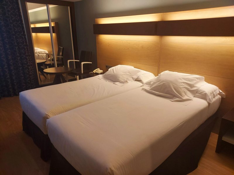 Hotel Ciudad de Logrono
