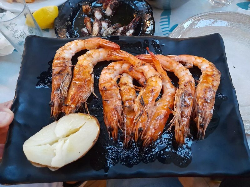 Psarokokkalo