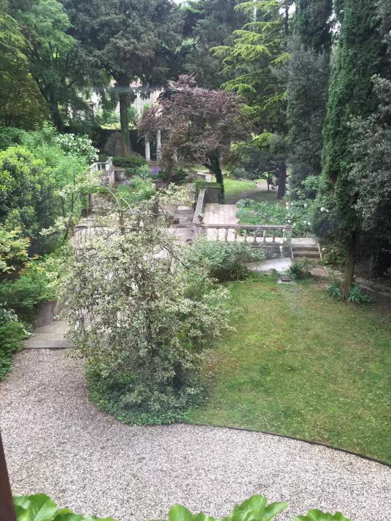 La Rosa e il Leone