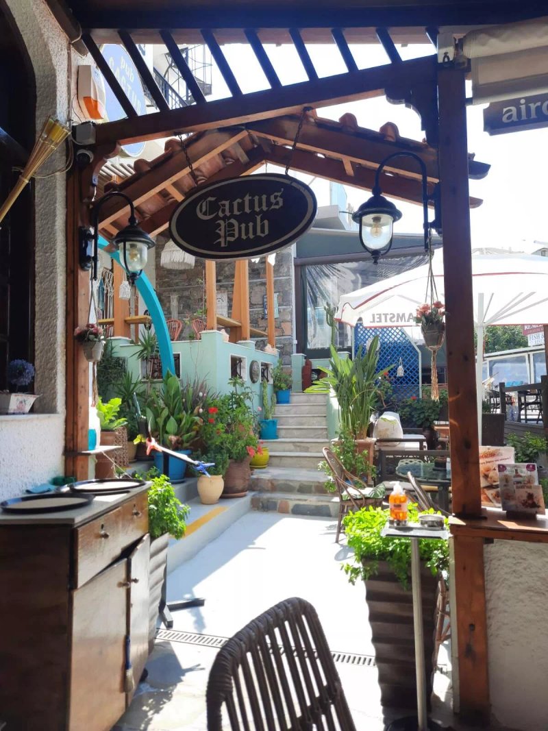 Cactus Pub