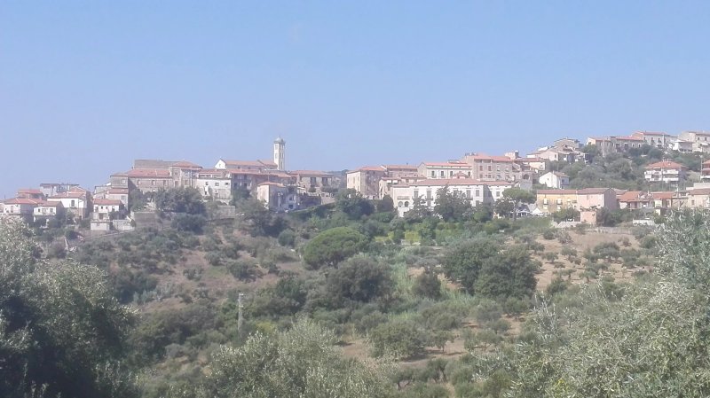 I Carretti di Ascea