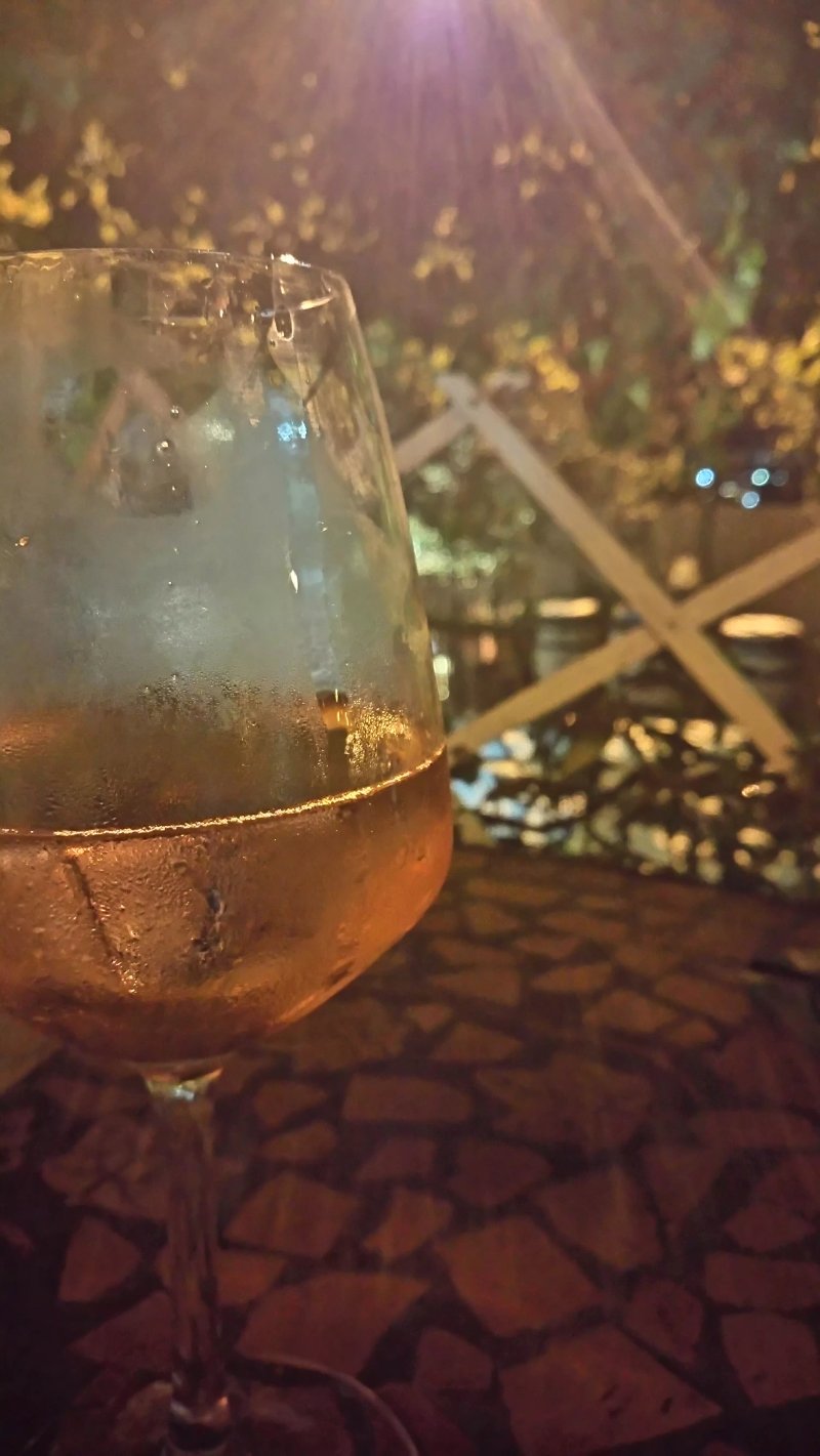 Divino Wine & Food