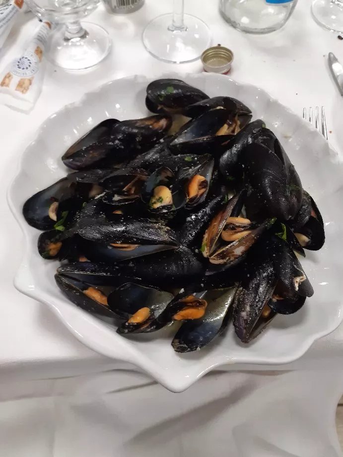 Ristorante Pizzeria Lo Scoglio