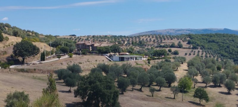 Agriturismo Casale Poggio Colpiccione