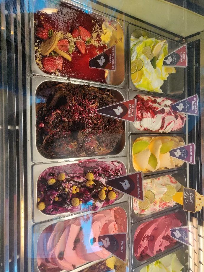 Gelato Art, FagyiZo-Na Cukraszda