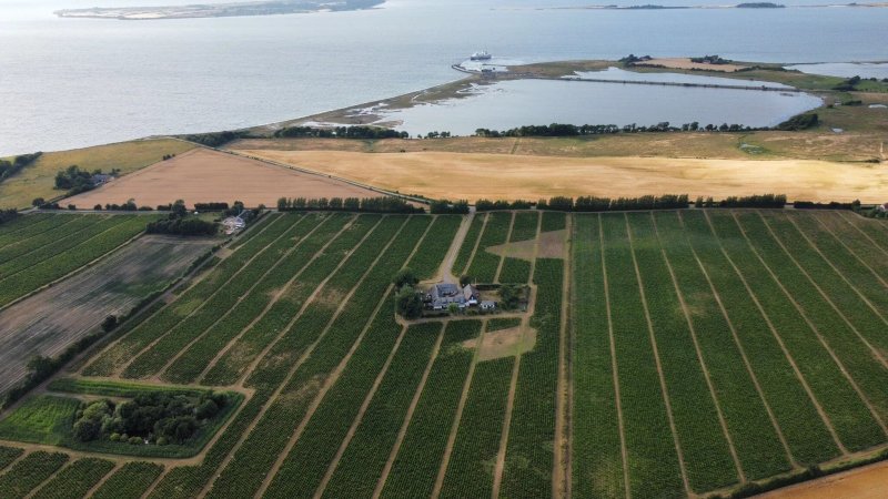Nydamsgaard B&b