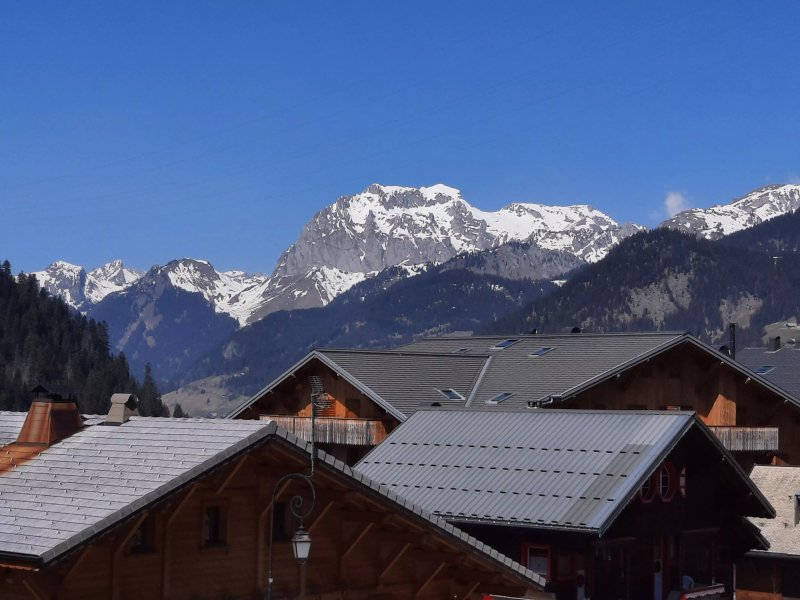 Résidence de tourisme la Flèche d'Or CHATEL