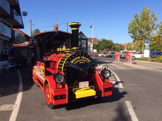 Dotto Train Heviz
