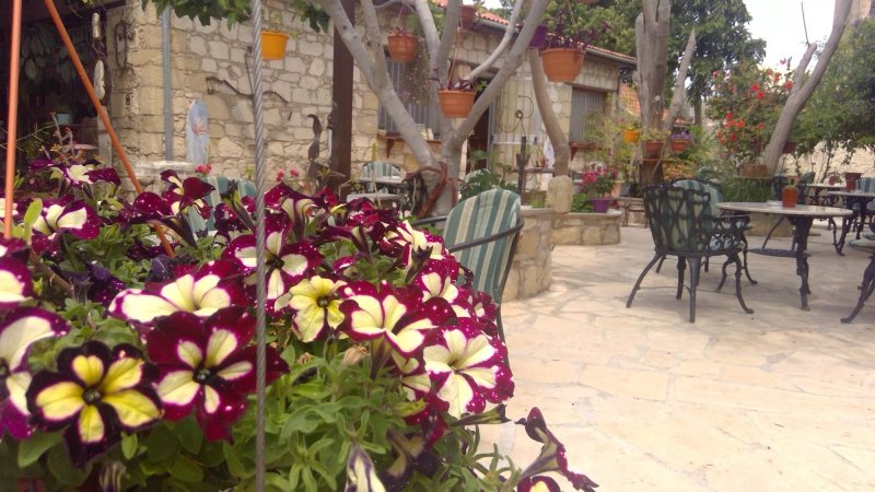 Art Cafe Kivotos 3000