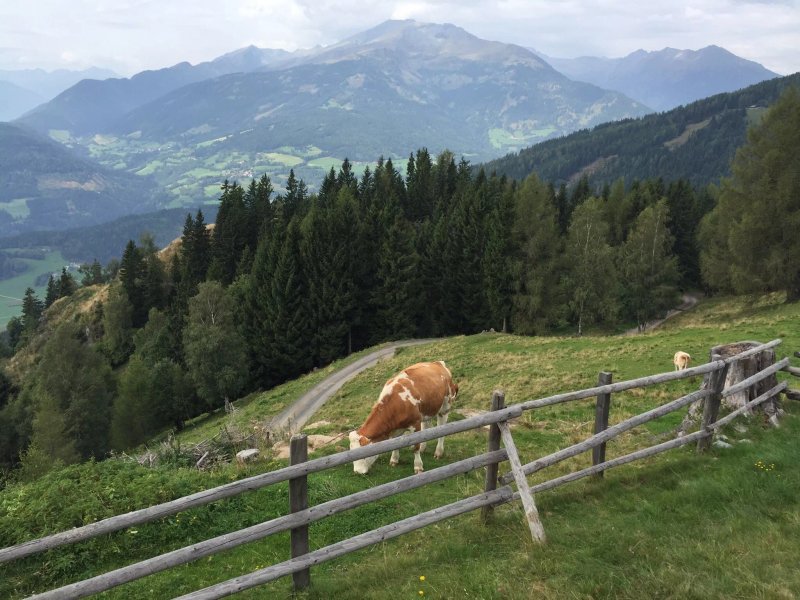 Pichl Hutte