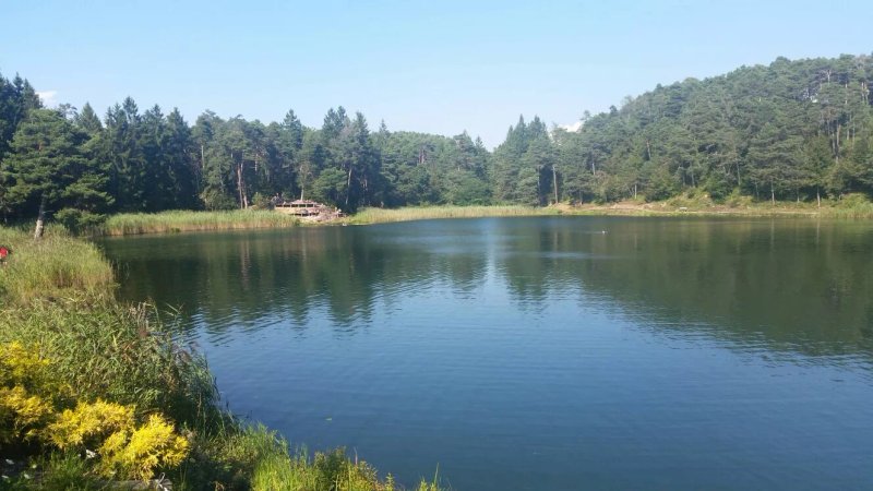 Ristorante dell'Albergo Lago Santa Colomba