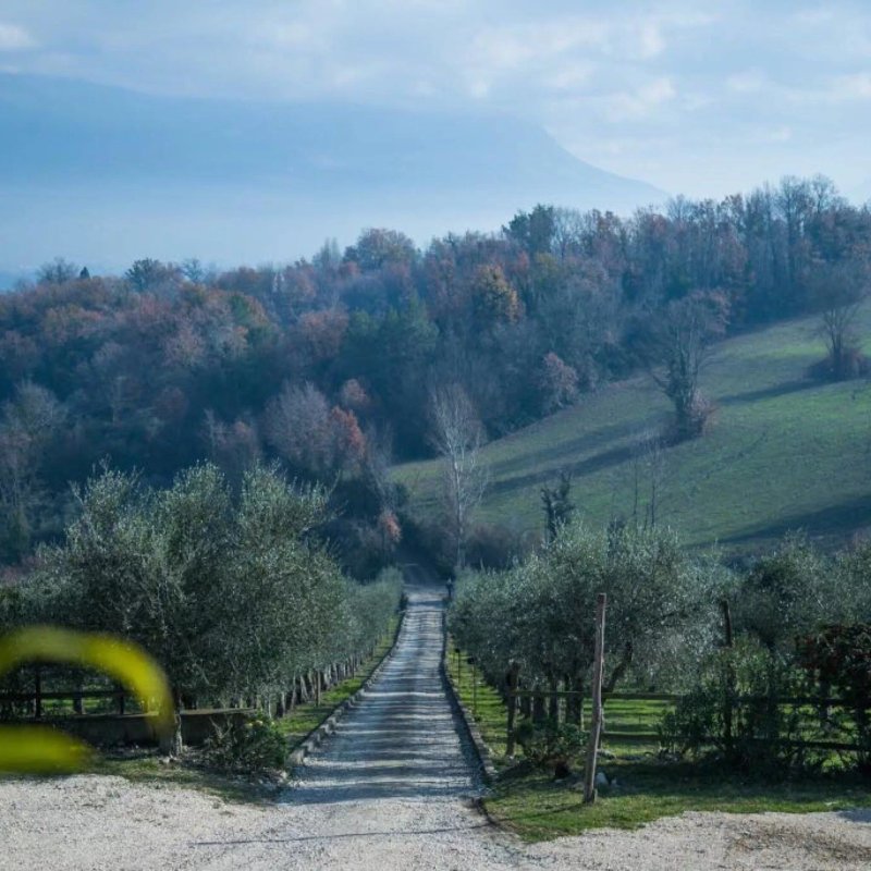 Ristorante Fattoria Vento