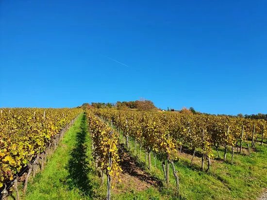 terroir f Alzenau-Michelbach