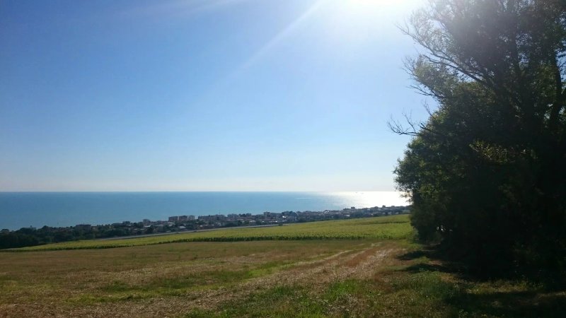 Il Campetto Country House