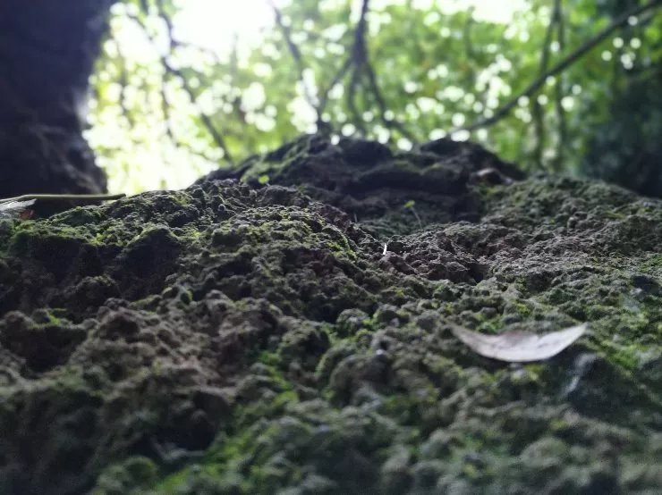 El Berrocal