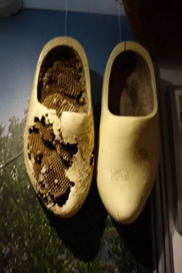 Schoonewelle museum voor Natuur en Ambacht